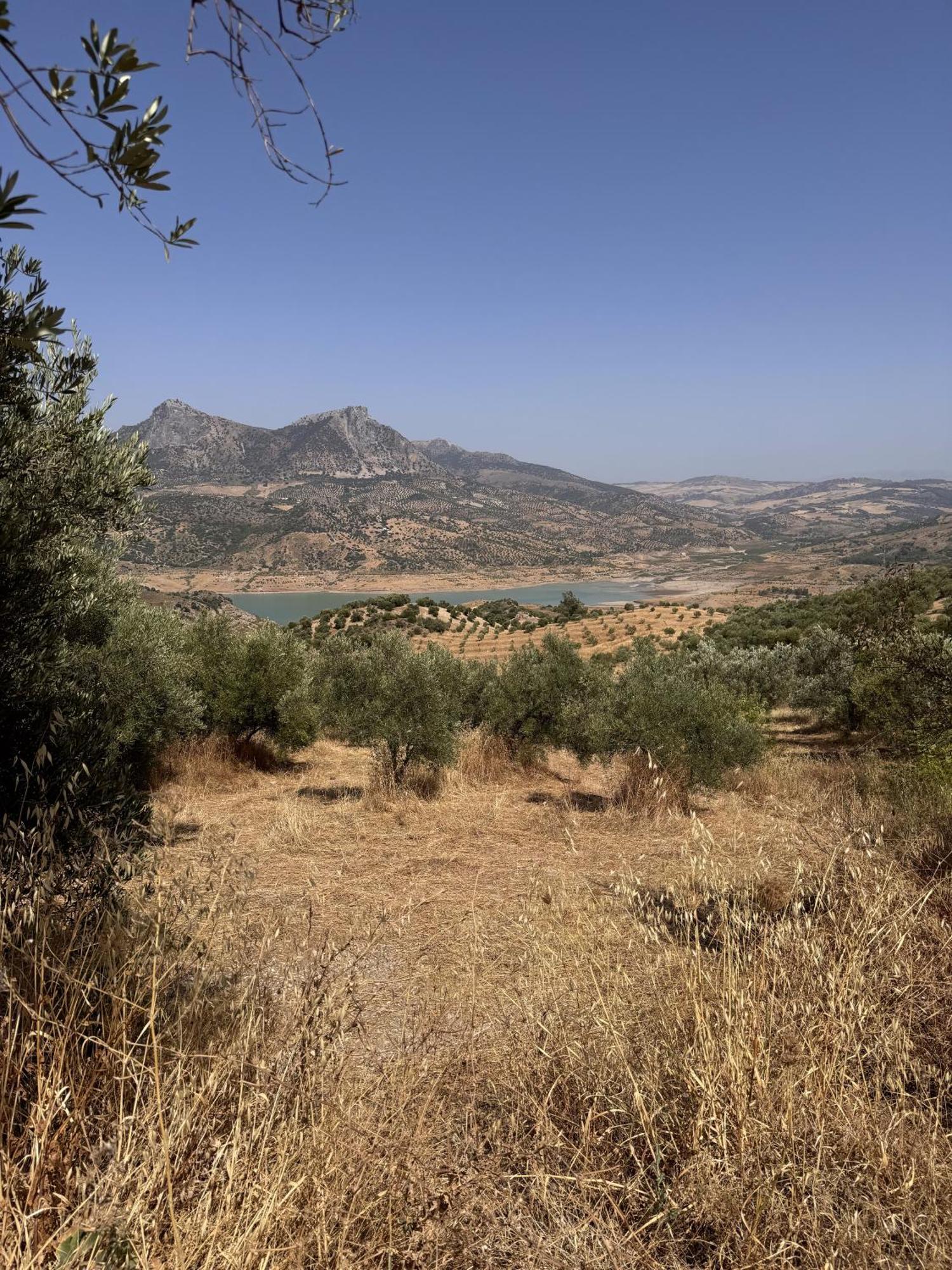 Luca Oliva * Zahara De La Sierra